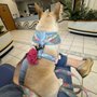 Belle Haven Animal Medical Centre