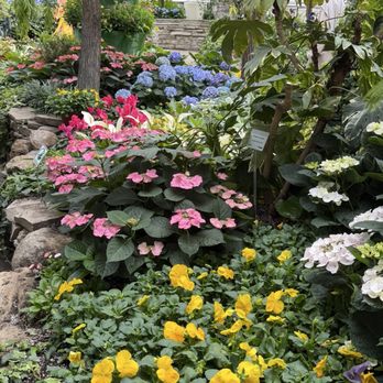 Allan Gardens - Parks Near Me - Toronto, Ontario