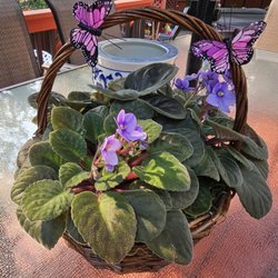 Bear Creek Florist