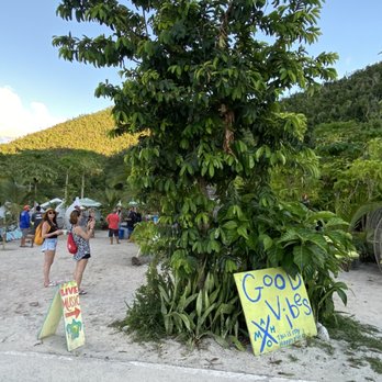 Maho Crossroads - Be nice or leave - Beaches Near Me - Saint John, Virgin Islands
