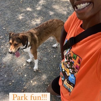 Retro Pupz - A Park Run with my Nephew, Appa! - Pet Services Near Me Retro Pupz - A Park Run with my Nephew, Appa! - Pet Services Near Me