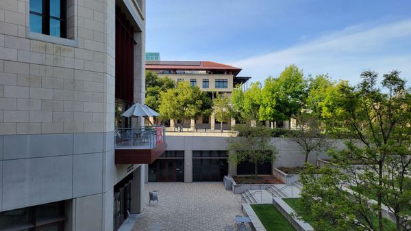 Stanford University by null