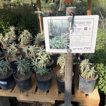 Garden View Nursery - Nurseries & Gardening Near Me - Irwindale, California