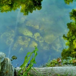 Springquelle - Springquelle.