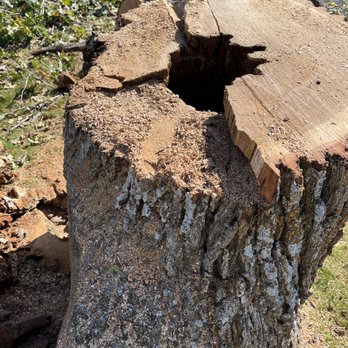 Klimek's Tree Service - Tree Services Near Me - Alexandria, Minnesota Klimek's Tree Service - Tree Services Near Me - Alexandria, Minnesota