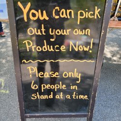 Bartel Pritchard Square Greenmarket