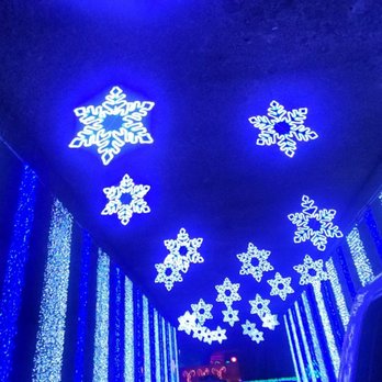 Lights Under - Local Flavor Near Me - Louisville, Kentucky Lights Under - Local Flavor Near Me - Louisville, Kentucky