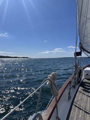 Newport Classic Cruises Bannister's Wharf by null