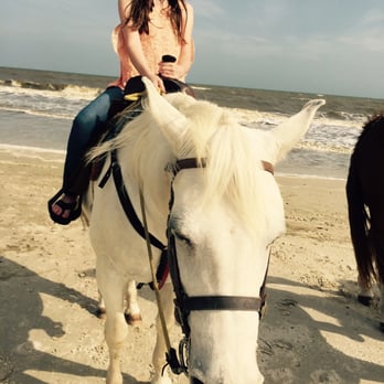 Two-bit Stable Horseback Riding On The Beach - Horseback Riding Near Me - Cape San Blas, Florida Two-bit Stable Horseback Riding On The Beach - Horseback Riding Near Me - Cape San Blas, Florida
