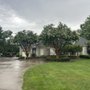 Photo of Wes Lee Tree Care