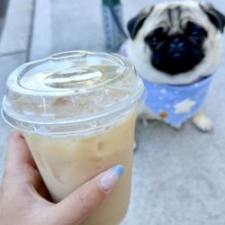 Crows Nest Coffee Shoppe - Salish Sea Fog (Soy Milk)