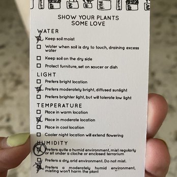 BLOOMS + FLORA - Instructions for care - Florists Near Me - Guelph, Ontario