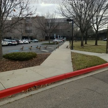 Hewlett Packard Enterprise - Computers Near Me - Boise, Idaho