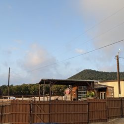 Frio Buckhorn RV Park and Resort - Picture of the bar from our cabin