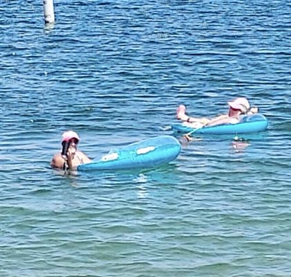 Cottonwood Cove Resort & Marina by null