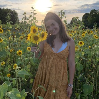 Lannon Sunflower Farm - Sunflower field and sunflowers that I picked - Pick Your Own Farms Near Me - Lannon, Wisconsin Lannon Sunflower Farm - Sunflower field and sunflowers that I picked - Pick Your Own Farms Near Me - Lannon, Wisconsin