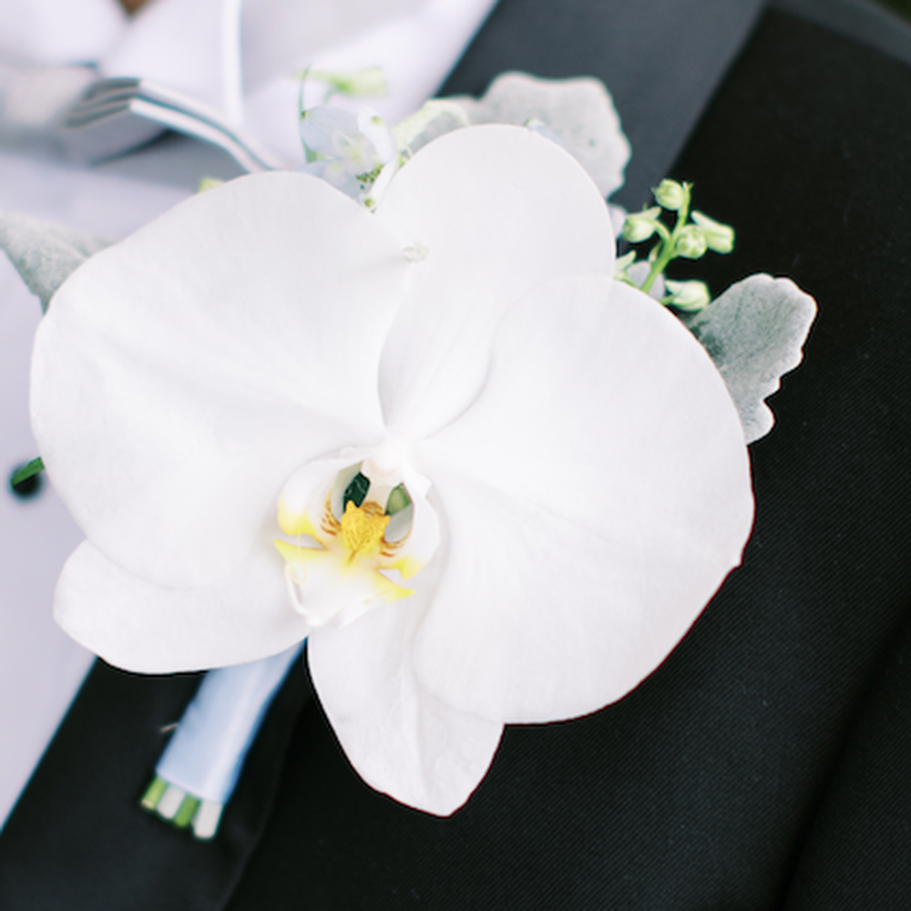 Chloe Rose - Floral Designers Near Me
