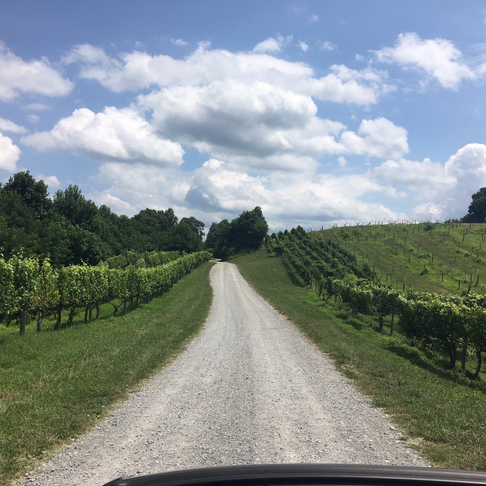 Valhalla Vineyards - A beautiful vineyard-lined drive upon entering Valhalla. - Wineries Near Me - Roanoke, Virginia Valhalla Vineyards - A beautiful vineyard-lined drive upon entering Valhalla. - Wineries Near Me - Roanoke, Virginia