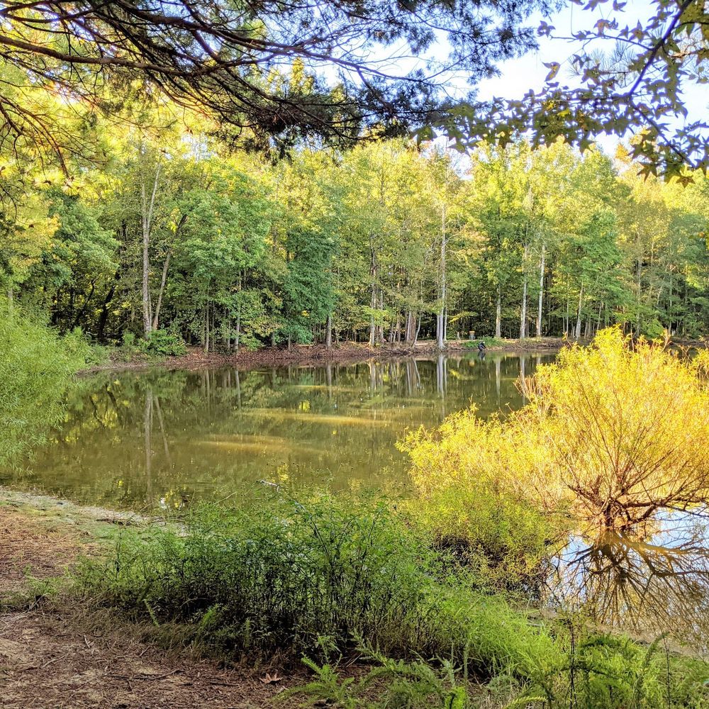 Idlewild Road Park - Instagram: @telephonesmoothie - Parks Near Me - Matthews, North Carolina Idlewild Road Park - Instagram: @telephonesmoothie - Parks Near Me - Matthews, North Carolina