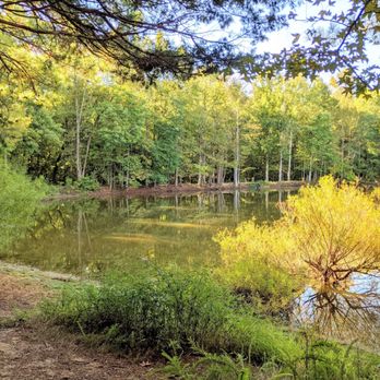 Idlewild Road Park - Instagram: @telephonesmoothie - Parks Near Me - Matthews, North Carolina Idlewild Road Park - Instagram: @telephonesmoothie - Parks Near Me - Matthews, North Carolina