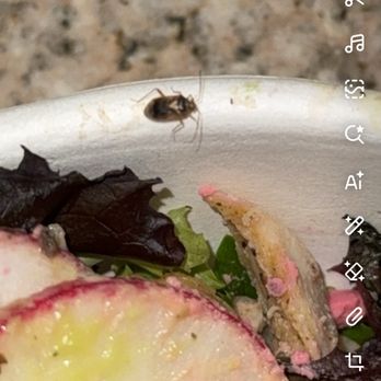 Vitality Bowls - Juice Bars & Smoothies Near Me - Vacaville, California Vitality Bowls - Juice Bars & Smoothies Near Me - Vacaville, California