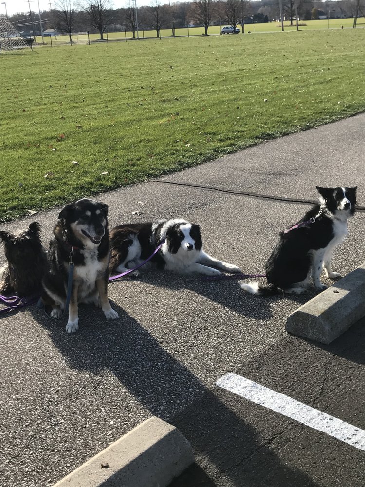 BROOKE’S BARKING BARGAINS Updated September 2024 49445 Garfield Rd, Oberlin, Ohio Dog