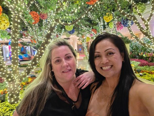 Wynn Las Vegas by null