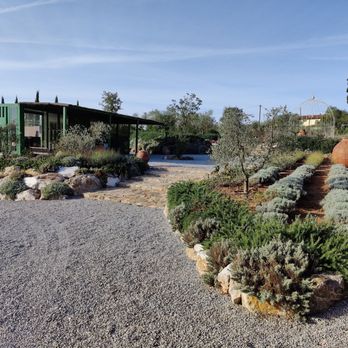 Casadei - Wineries Near Me - Suvereto, LI