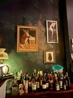 The Cat House by null