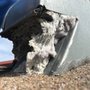 Delintz Dryer Vent Cleaning Service