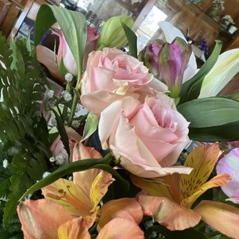 Venus Online Flowers - Florists Near Me - Alamosa, Colorado Venus Online Flowers - Florists Near Me - Alamosa, Colorado