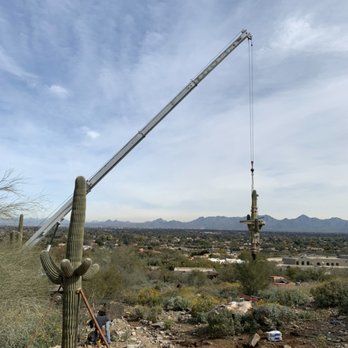 Tree Relocators - Installing Saguaros with crane in Paradise Valley - Tree Services Near Me - Scottsdale, Arizona Tree Relocators - Installing Saguaros with crane in Paradise Valley - Tree Services Near Me - Scottsdale, Arizona
