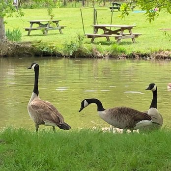 North Park - Parks Near Me - Wexford, Pennsylvania North Park - Parks Near Me - Wexford, Pennsylvania