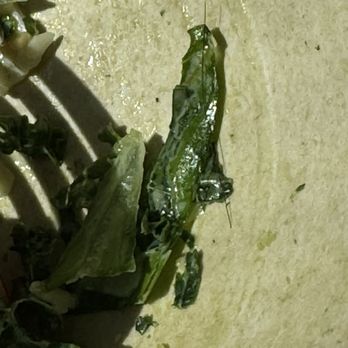 sweetgreen - Healthy Salads, Wraps, and Bowls - Salad Near Me - Huntington Beach, California sweetgreen - Healthy Salads, Wraps, and Bowls - Salad Near Me - Huntington Beach, California