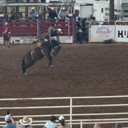 Sonoita Labor Day Rodeo - Saddle bronc action shot