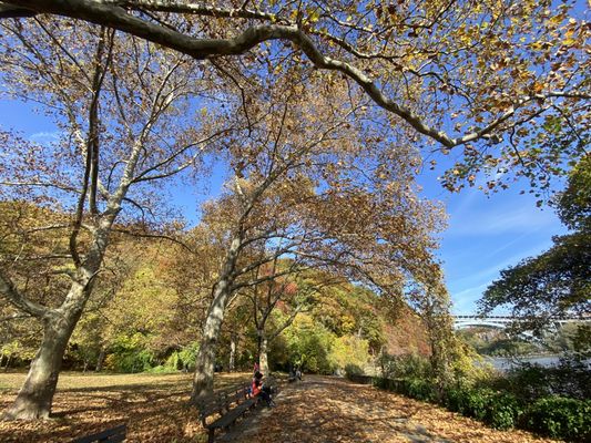 Inwood Hill Park by null