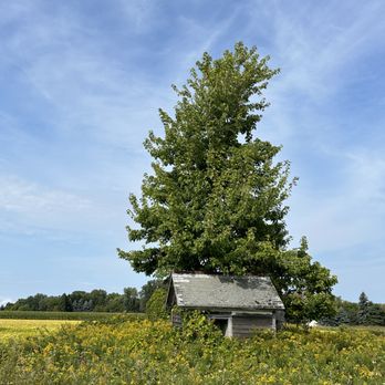 Secret Sky Barn - Public Art Near Me - Kinde, Michigan