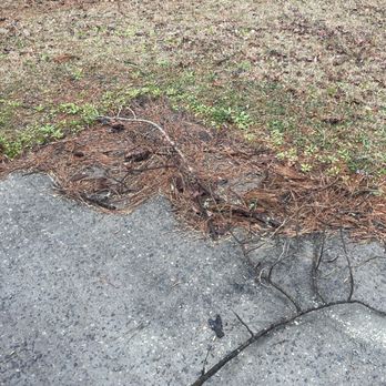 Testament Lawn Care - a broken fire hydrant on the side of the road - Lawn Services Near Me Testament Lawn Care - a broken fire hydrant on the side of the road - Lawn Services Near Me