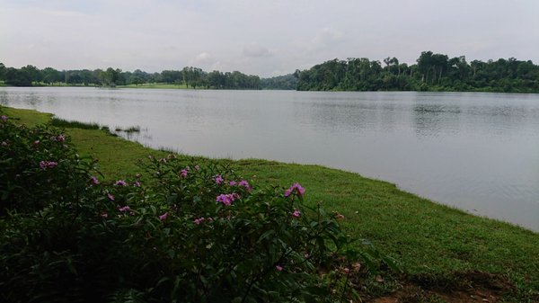 Lower Peirce Reservoir Park by null