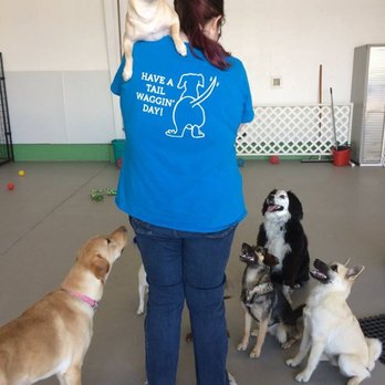 Tail Waggin' Adventures - Pet Training Near Me - Pullman, Washington