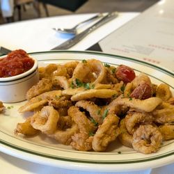 Cucciolo Famiglia - Calamari