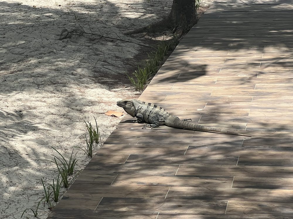 Hotel Paradise Suites