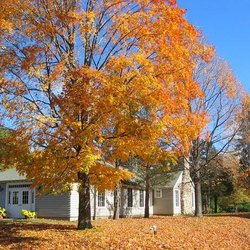 Tuxbury Pond Campground