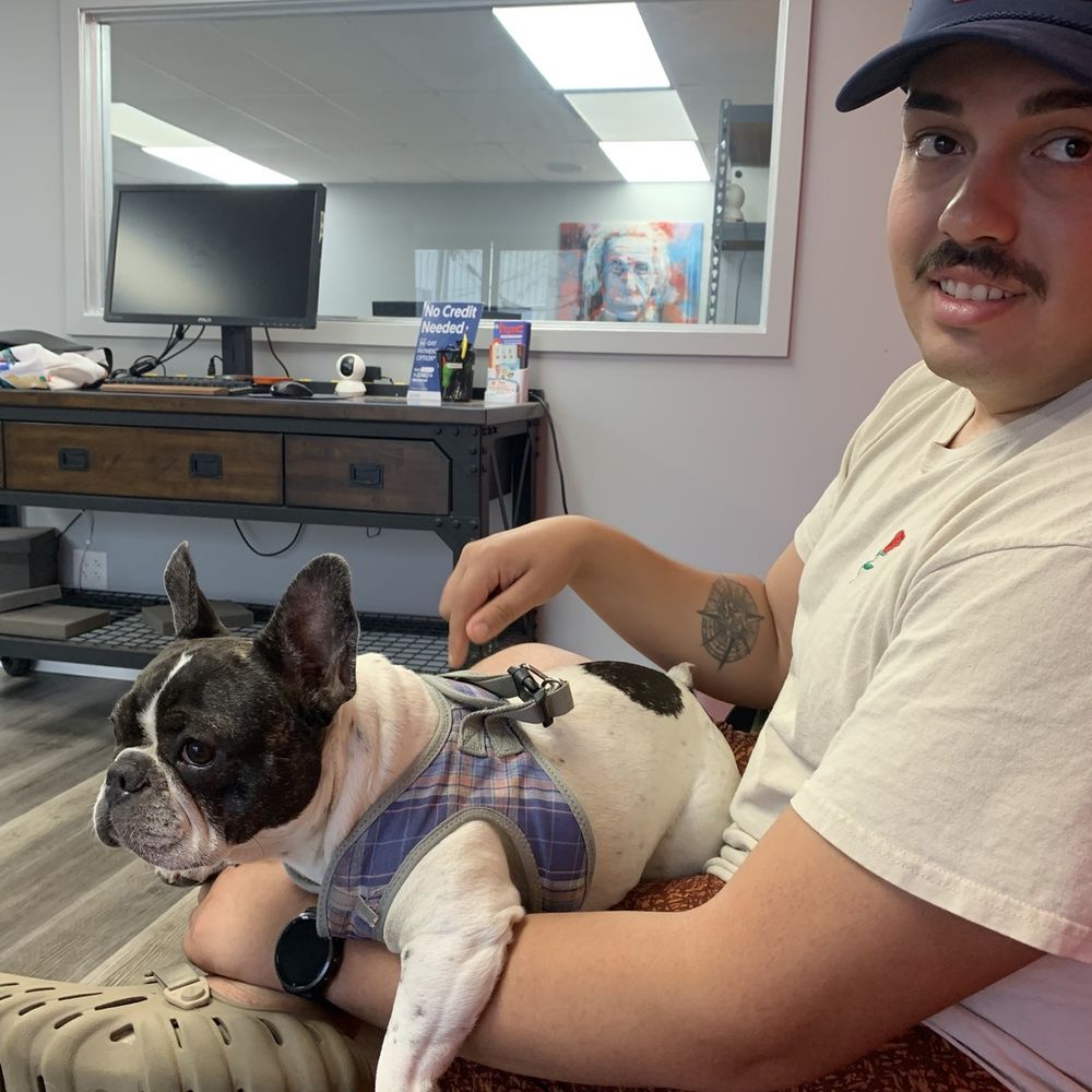 H Power Computing - Lobby, French Bulldog Greeter, My husband - Computers Near Me - Honolulu, Hawaii H Power Computing - Lobby, French Bulldog Greeter, My husband - Computers Near Me - Honolulu, Hawaii