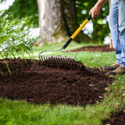 Enhance Soil with Our Nutrient-Rich Mulch--Available Now