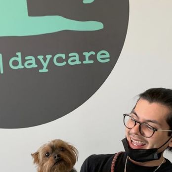 Dog. Hotel & Daycare - Staff taking good care of my baby! - Pet Groomers Near Me - Chicago, Illinois Dog. Hotel & Daycare - Staff taking good care of my baby! - Pet Groomers Near Me - Chicago, Illinois
