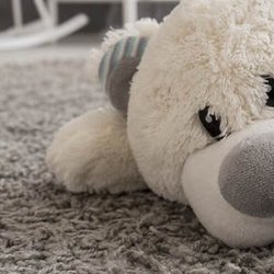 Kamloops Carpet Cleaning