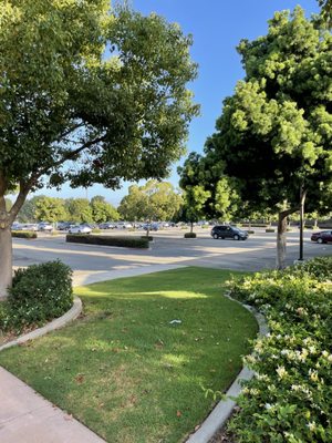 POINSETTIA COMMUNITY PARK Updated November 2025 116 Photos 49