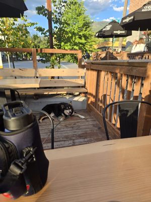 Jackson's Hole & Grill by null