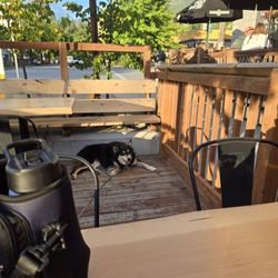 Jackson's Hole & Grill - Even Alice approved!! She had a nice drink of ice water and found a quiet corner